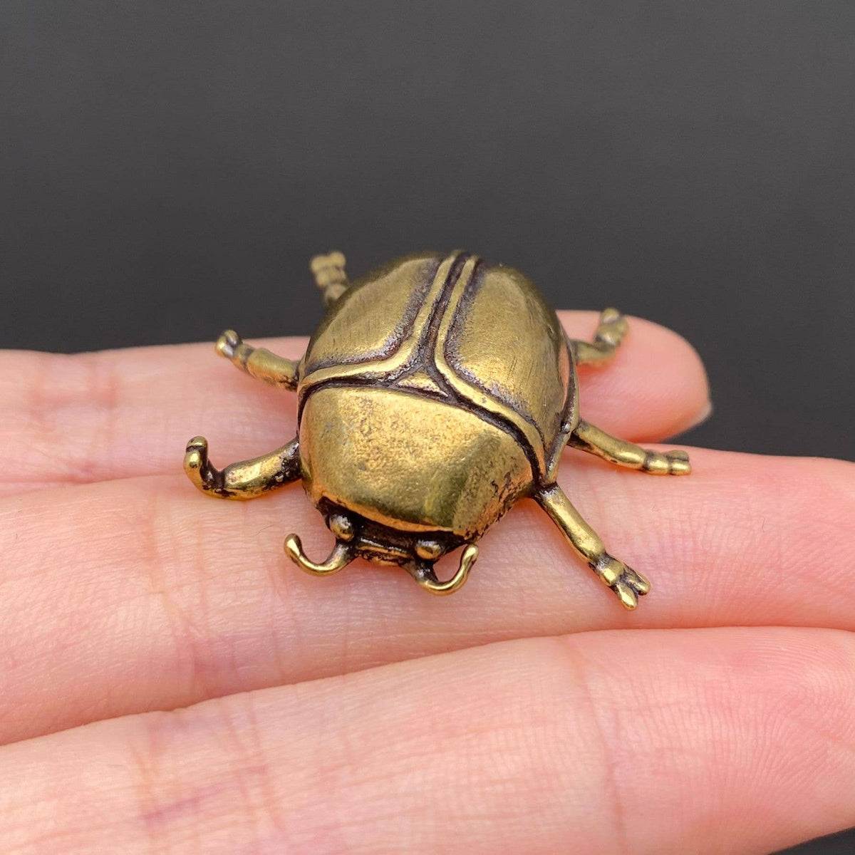 Beetle Bronzed Trinket 71797