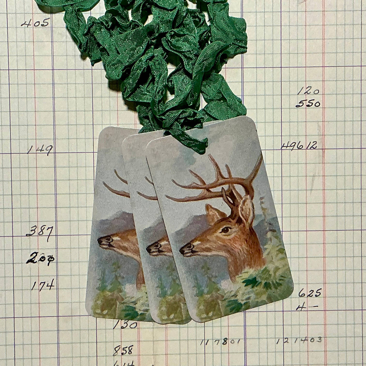 Stag Mount 3pk Tag & Ribbon Set