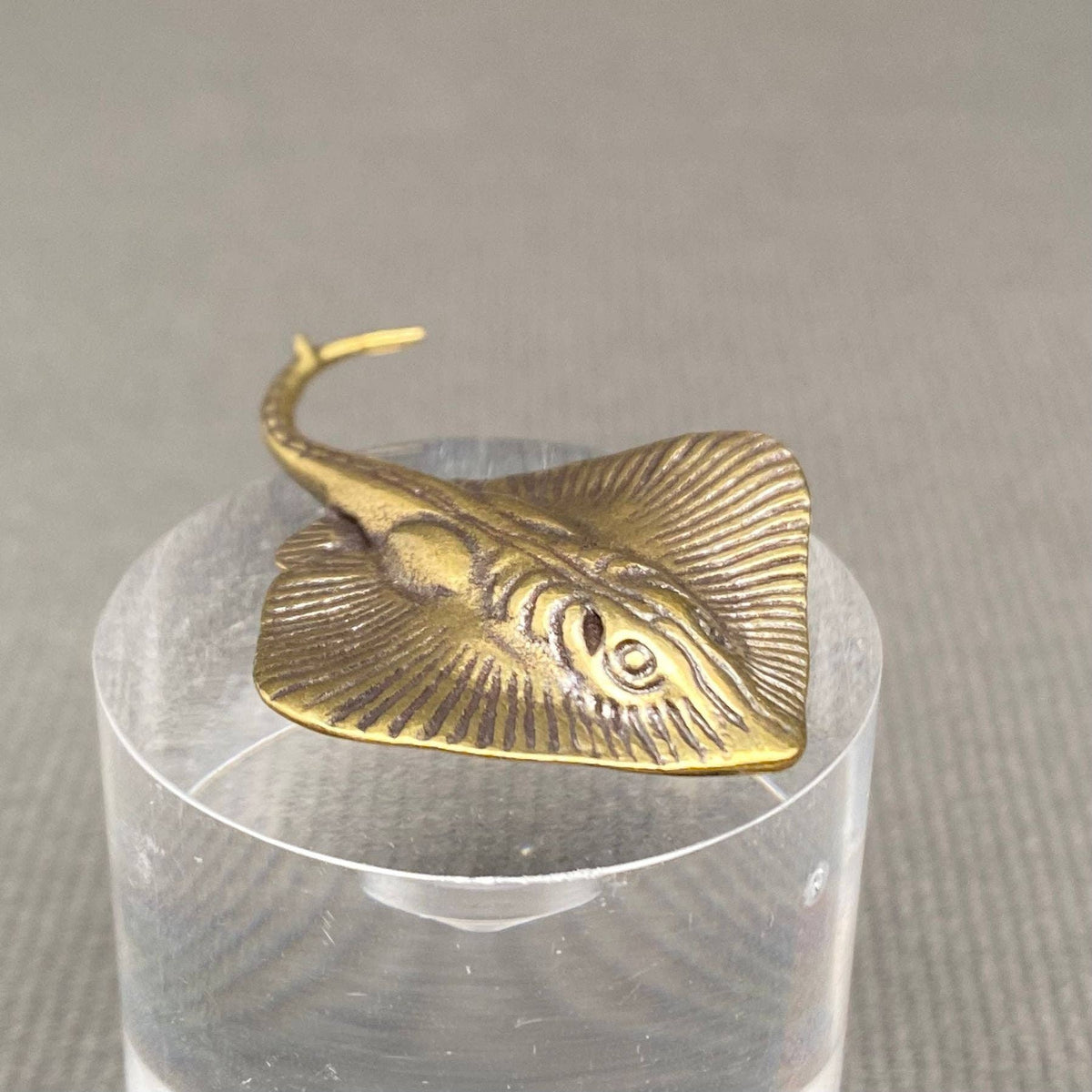 Devil Ray Bronzed Trinket 67548