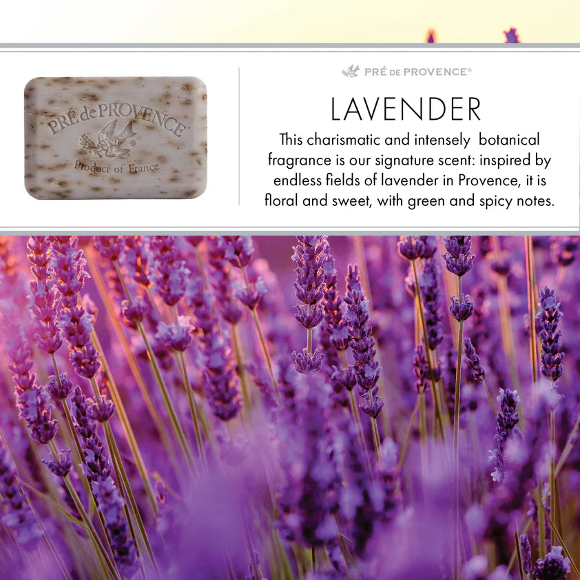 Lavender Soap Bar 150g - Europeans Soaps Pre de Provence