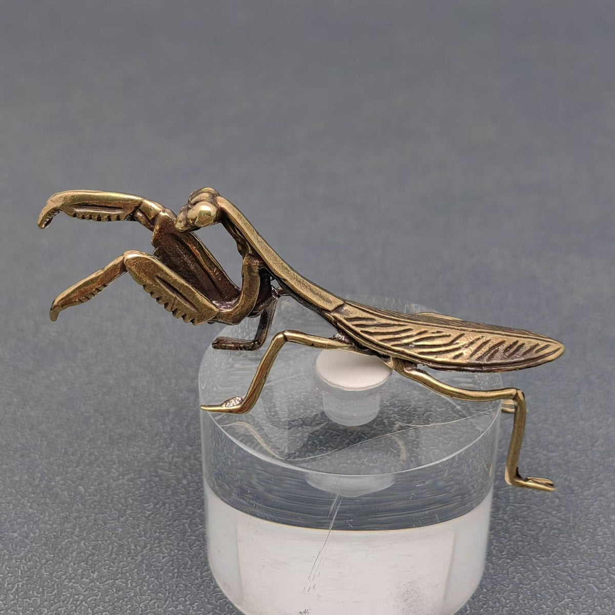 Mantis Bronzed Trinket 62630