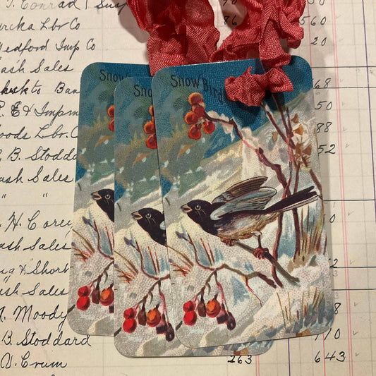 Winter Bird 3pk Tag & Ribbon Set