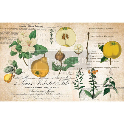 Primrose 19.5" x 30" - Decoupage Tissue Paper