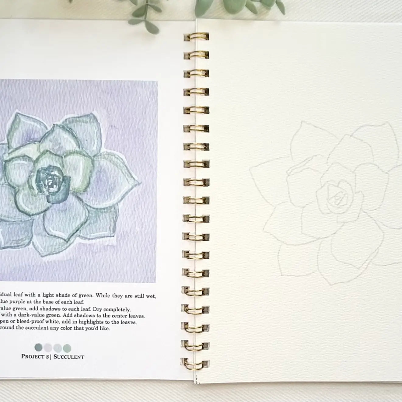 Botanical Watercolor Workbook