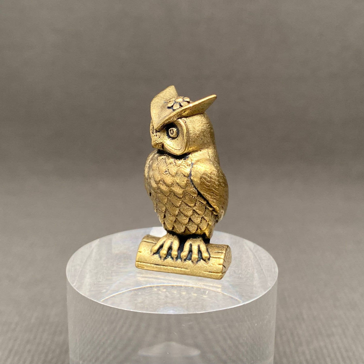 Perched Owl Bronzed Trinket 70435