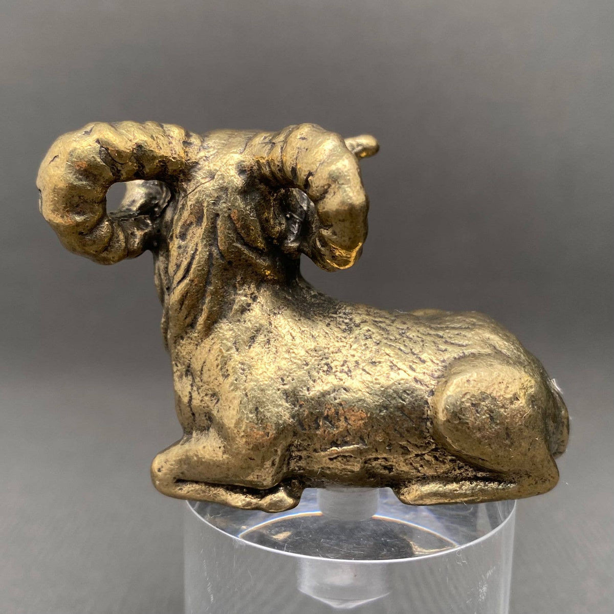 Ram Bronzed Trinket 68121