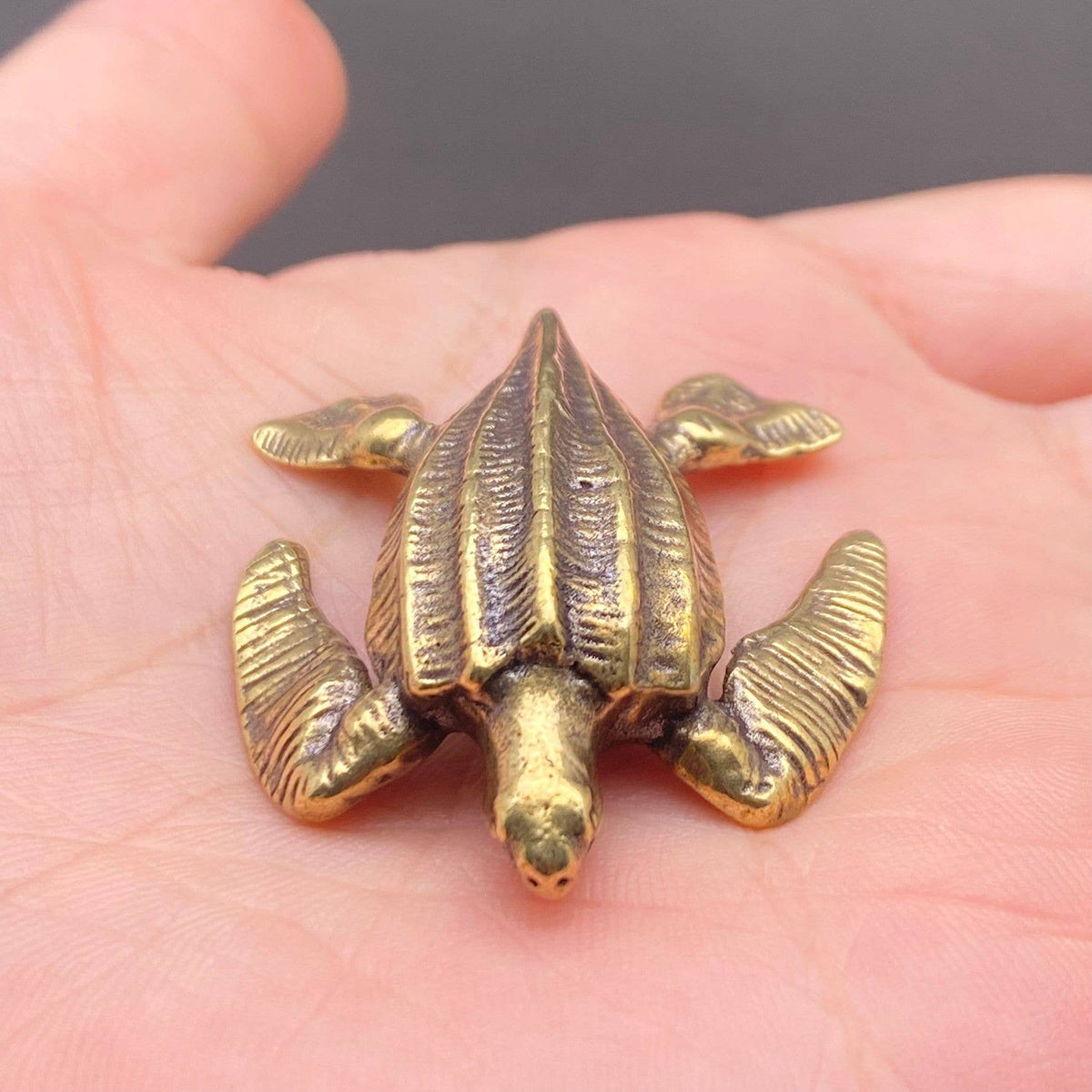 Sea Turtle Bronzed Trinket 67534