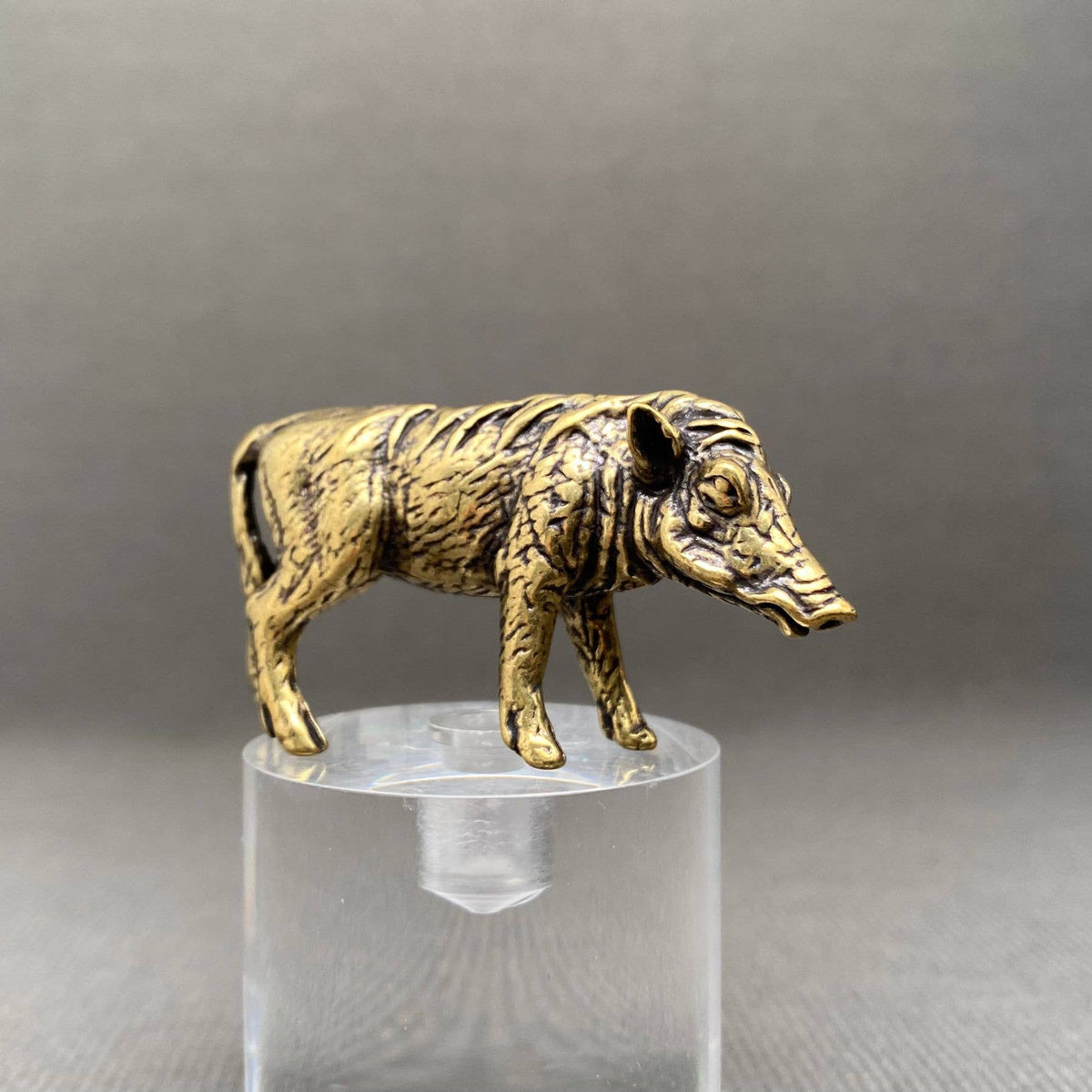 Wild Boar Bronzed Trinket 69742