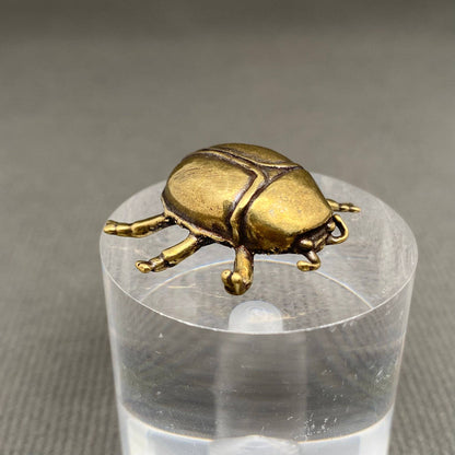 Beetle Bronzed Trinket 71797