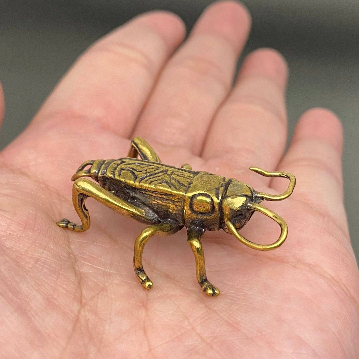 Ancient Cricket Bronzed Trinket 67540