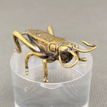 Ancient Cricket Bronzed Trinket 67540