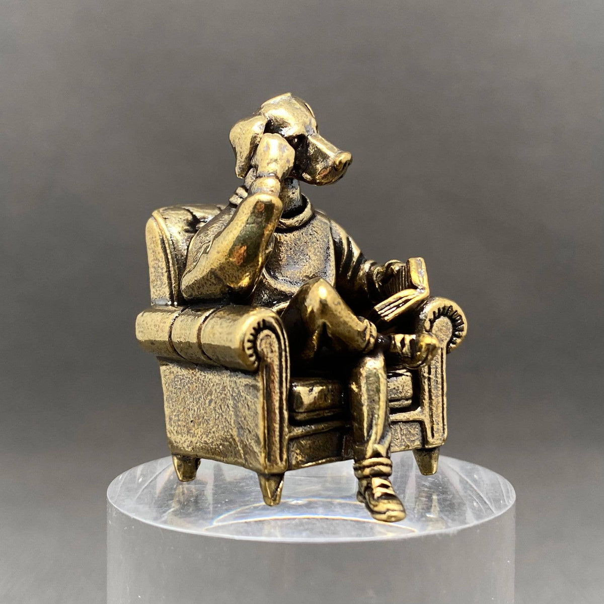 Reading Dog On A Chair Bronzed Trinket 72777