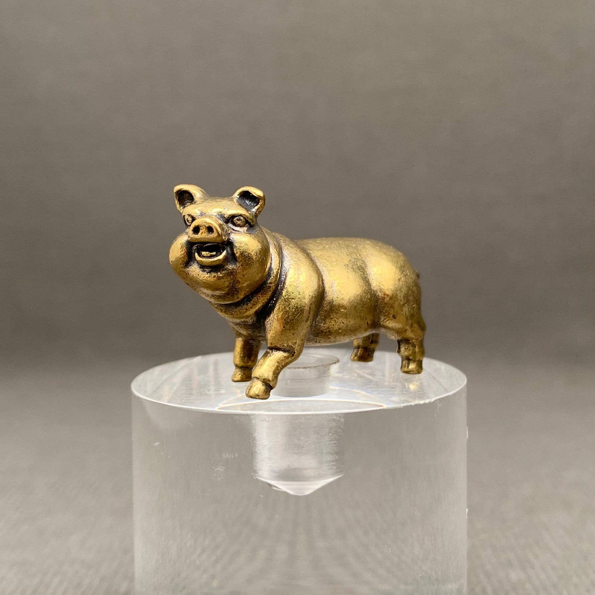 Laughing Pig Bronzed Trinket 70104
