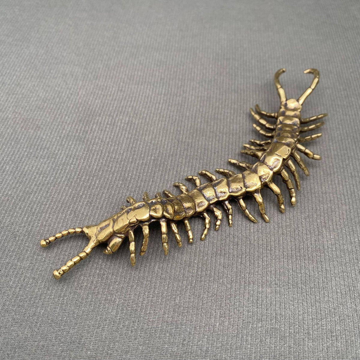 Centipede Bronzed Trinket 69741