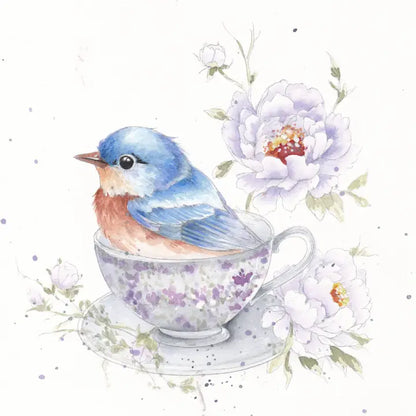 Feathers & Finery Watercolor Workbook