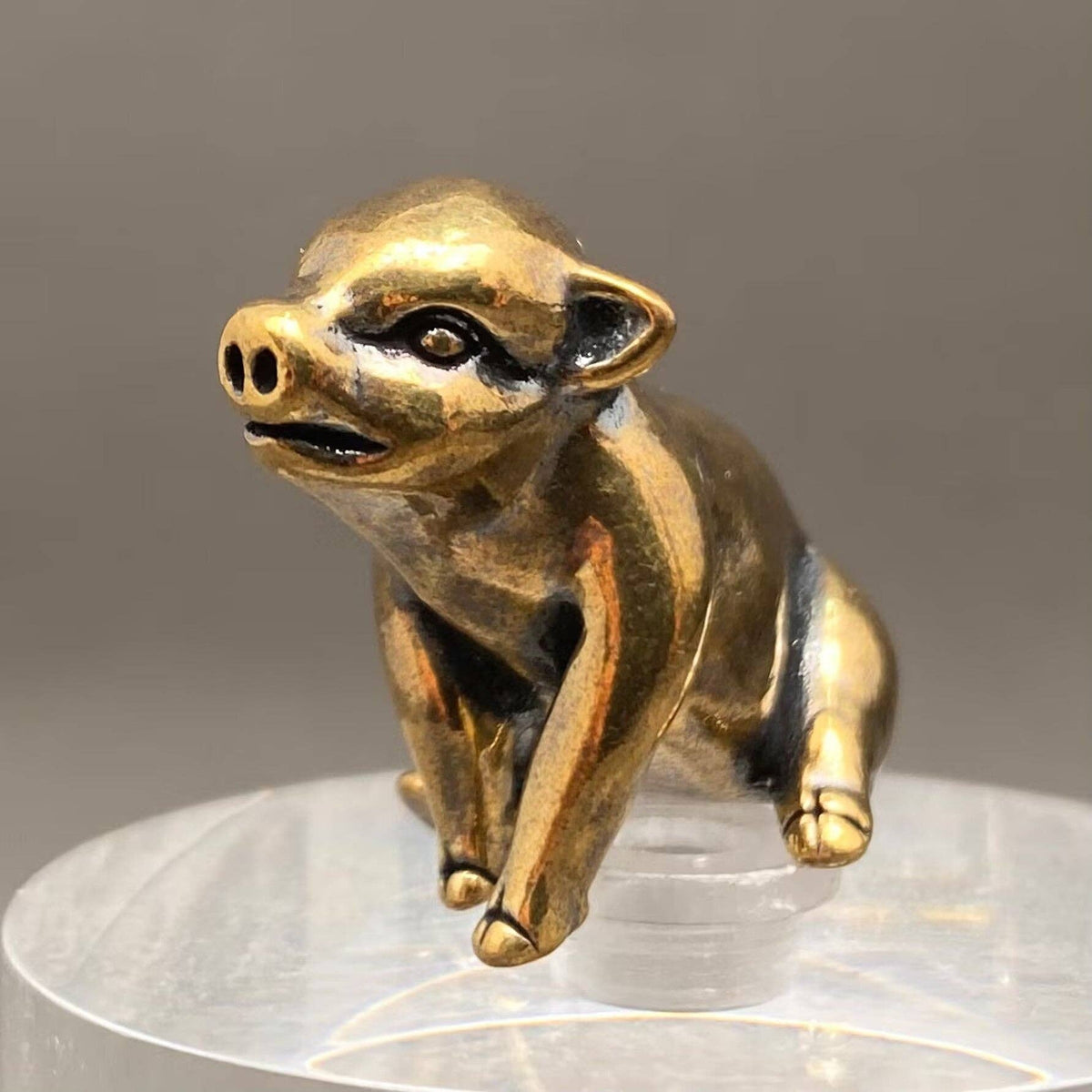 Sitting Piglet Bronzed Trinket 68454