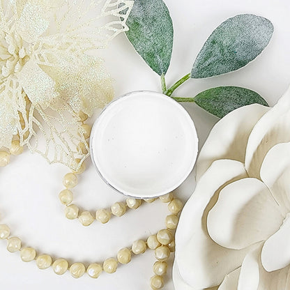 Arctic White - Paint Couture