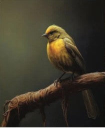 Avian Dreamscape D 19"x15" - Decoupage Tissue Paper