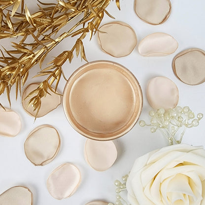 Blush - Paint Couture Lux Metallic Paint