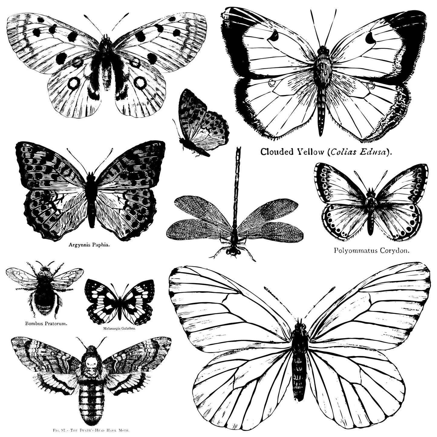 Butterflies ~ IOD Decor Stamp