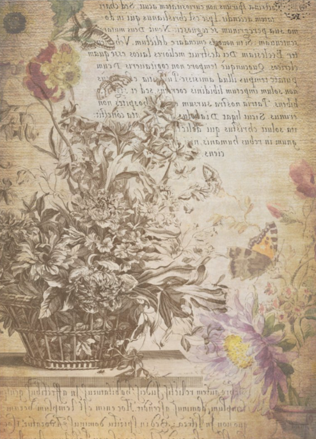 Butterfly Engraved Vintage Botanical 21" x 29" - Decoupage Tissue Paper