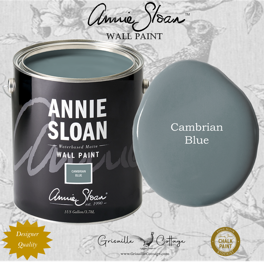 Cambrian Blue (4oz Sample) - Wall Paint by Annie Sloan