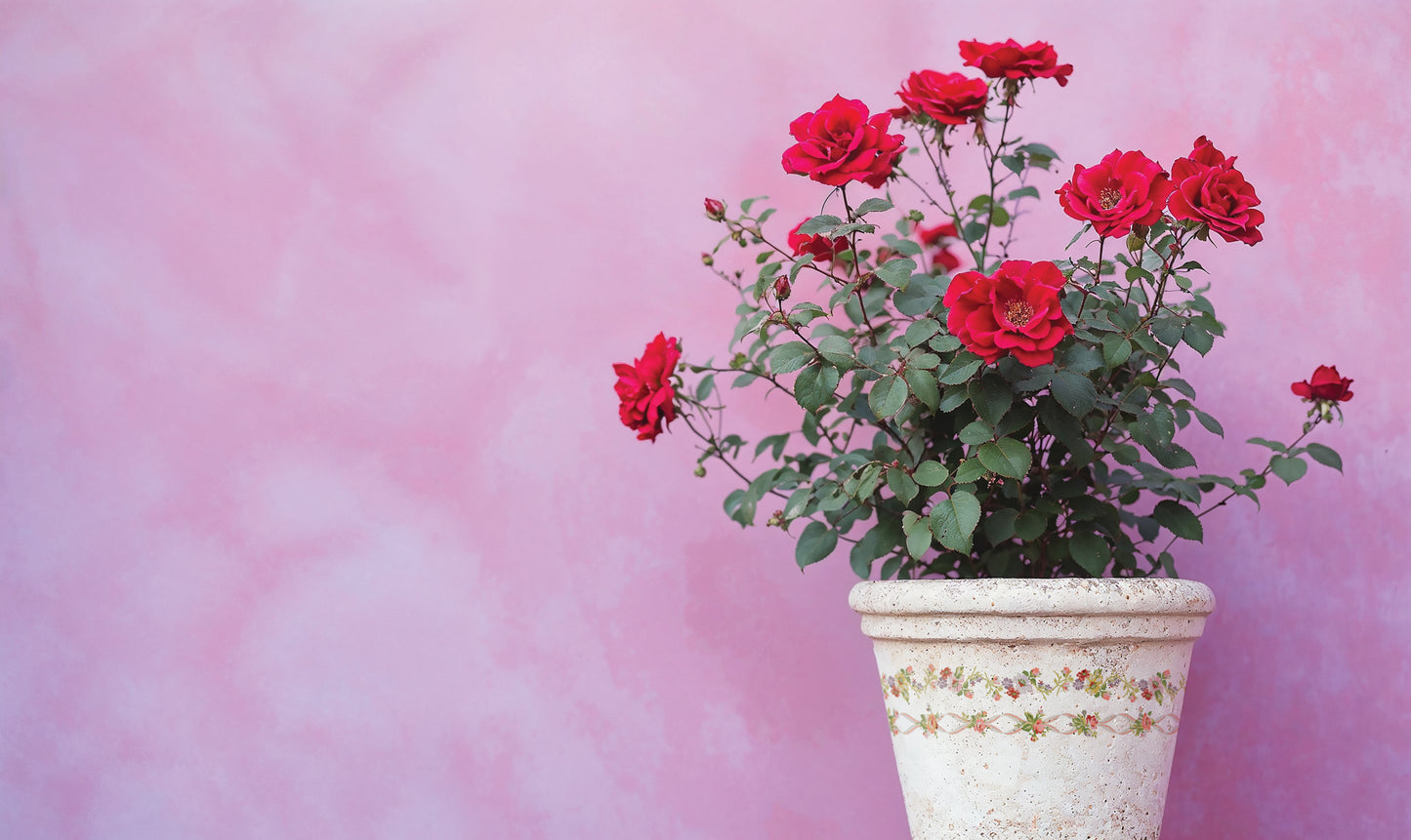 Ditsy Bloom - 8 Sheet, 12x16 Pad IOD Paint Inlay™