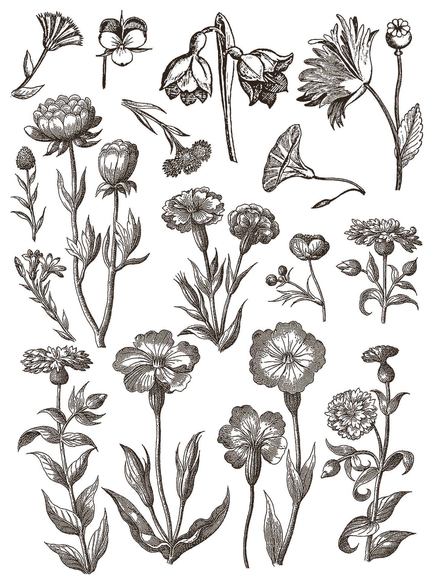 Floriography - 8 Sheet, 12x16 Pad IOD Paint Inlay™