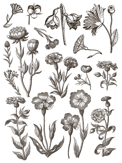 Floriography - 8 Sheet, 12x16 Pad IOD Paint Inlay™