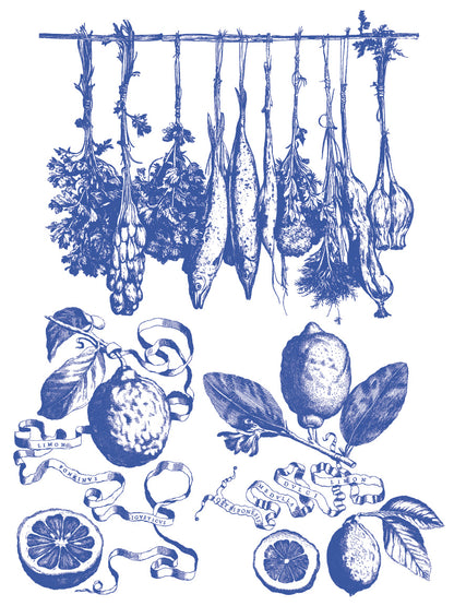 Portofino - 8 Sheet, 12x16 Pad IOD Paint Inlay™