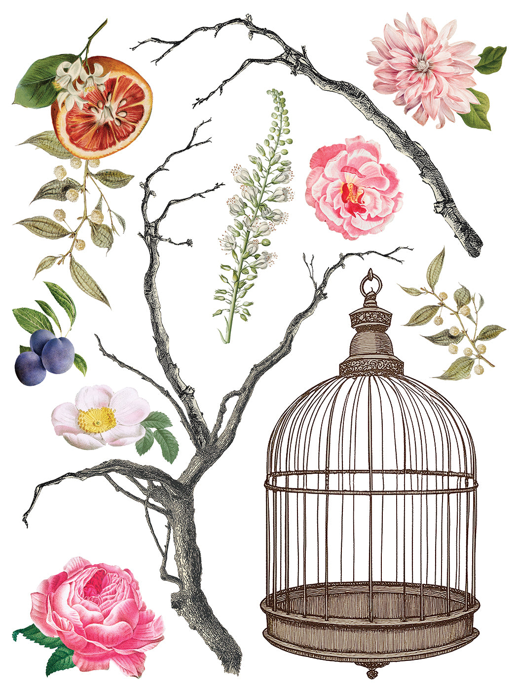 Menagerie - 8 Sheet, 12x16 Pad IOD Decor Transfer™