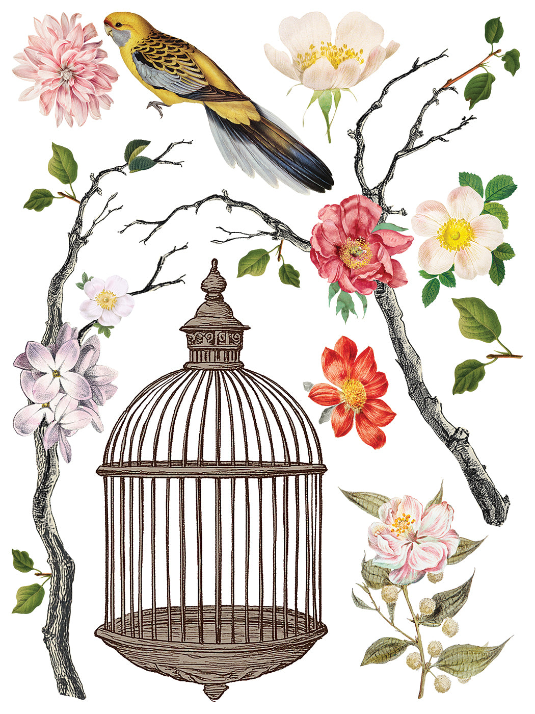 Menagerie - 8 Sheet, 12x16 Pad IOD Decor Transfer™