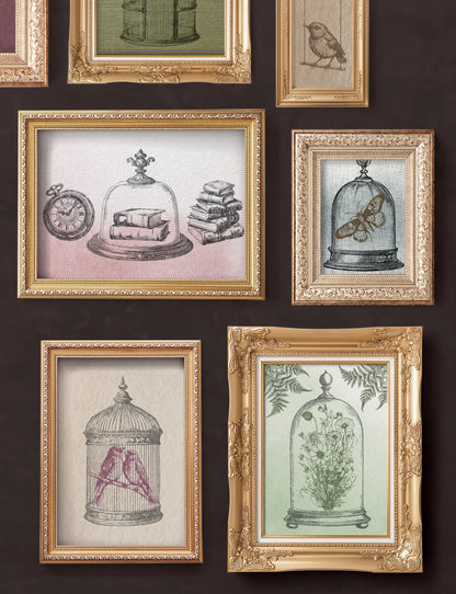 Patsiche 2-Sheet Set - Retired IOD Decor Stamp