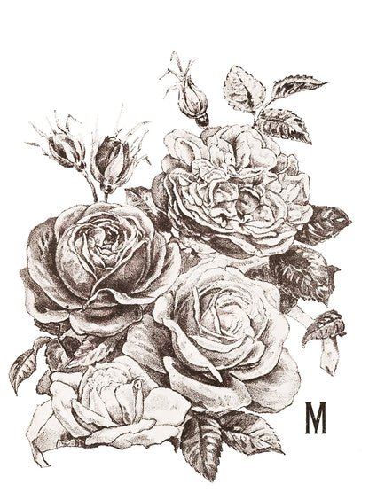 May's Roses - 4 Sheet, 12x16 Pad Retired IOD Decor Transfer