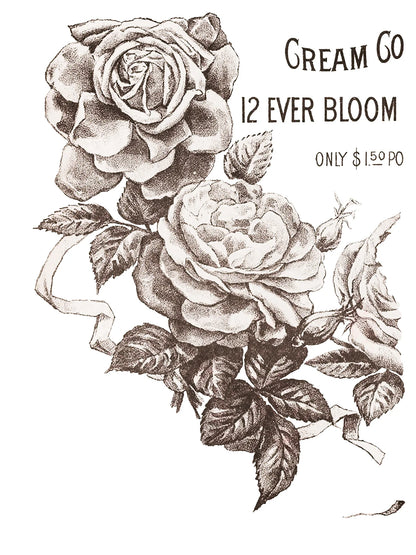 May's Roses - 4 Sheet, 12x16 Pad Retired IOD Decor Transfer