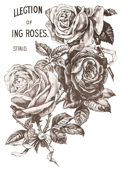 May's Roses - 4 Sheet, 12x16 Pad Retired IOD Decor Transfer