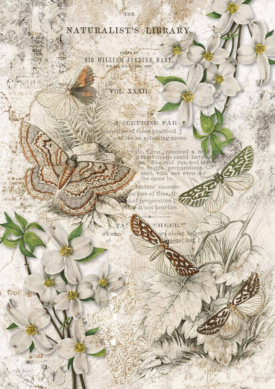 Naturalist Library - A4 8.3 x 11.7 Rice Paper by Decoupage Queen