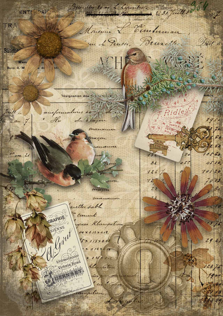 Autumn Birds - A4 8.3 x 11.7 Rice Paper by Decoupage Queen