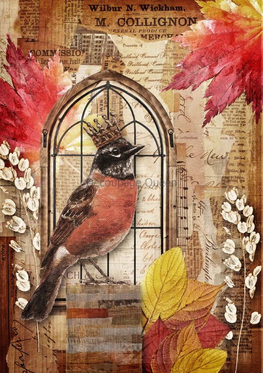 Crowned Robin 0629 - A3 11.7x16.5 Rice Paper by Decoupage Queen