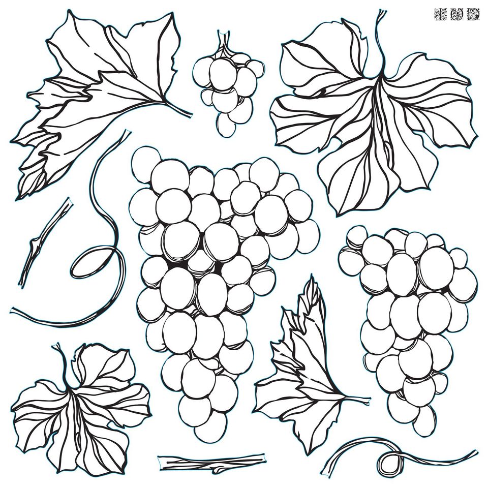 Grapes - IOD Decor Stamp 2021