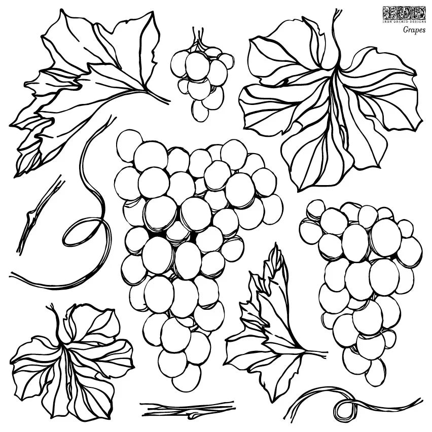 Grapes - IOD Decor Stamp