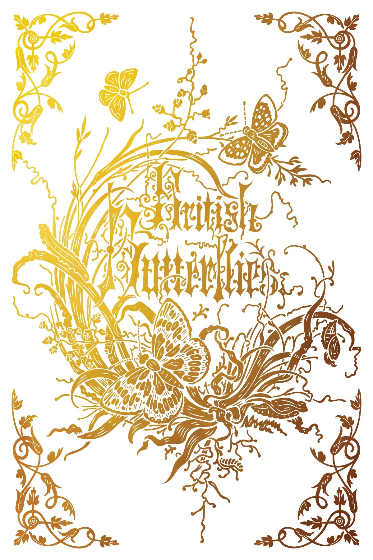 Athenaeum - Gilded Foil - 8 Sheet, 8x12 Pad IOD Decor Transfer™ 2026