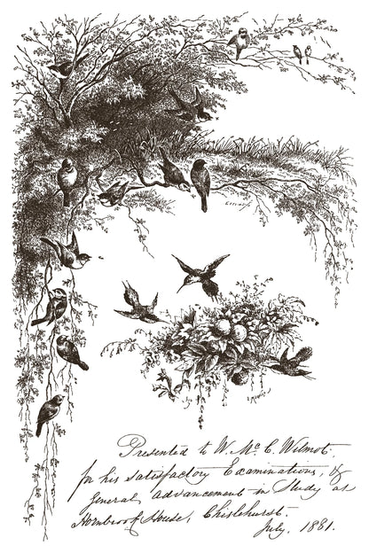 Little Lark - 8 Sheet, 8x12 Pad IOD Paint Inlay™ 2026