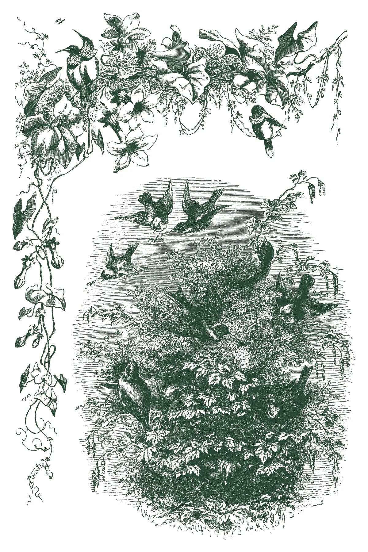 Little Lark - 8 Sheet, 8x12 Pad IOD Paint Inlay™ 2026