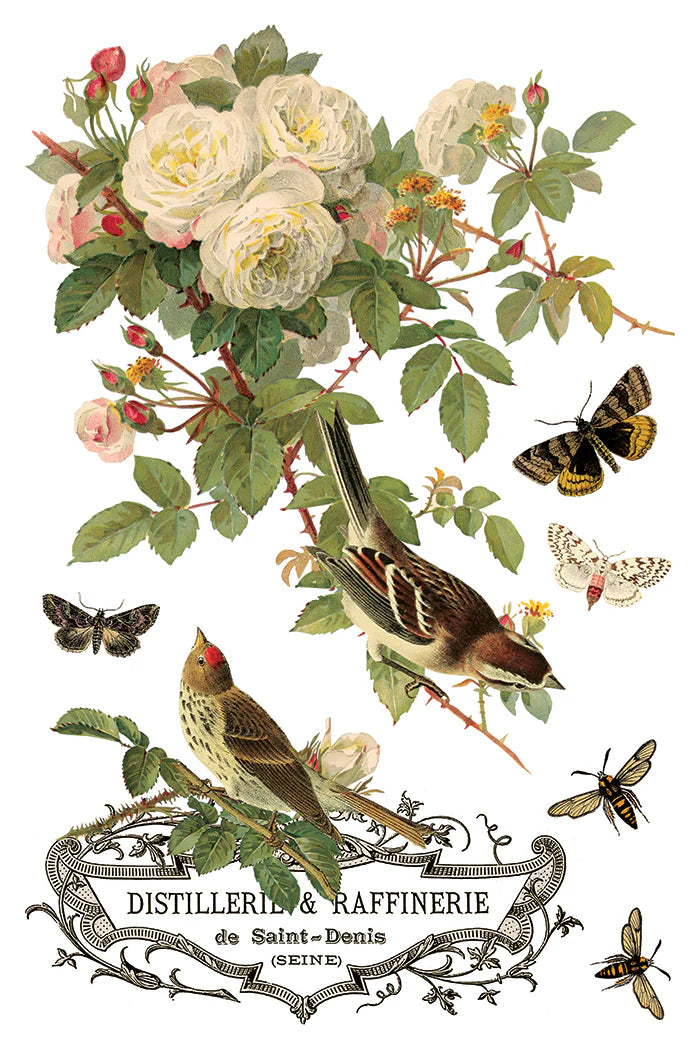 By Any Other Name - 8 Sheet, 8x12 Pad IOD Decor Transfer™ 2026