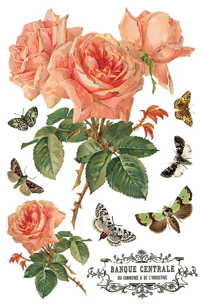 By Any Other Name - 8 Sheet, 8x12 Pad IOD Decor Transfer™ 2026