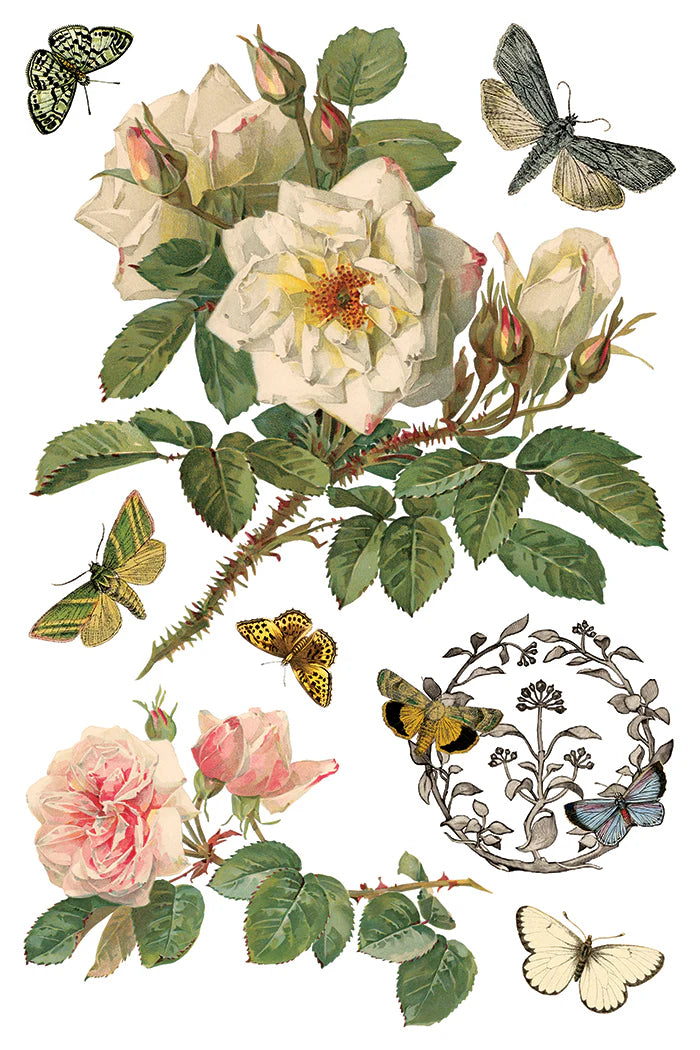 By Any Other Name - 8 Sheet, 8x12 Pad IOD Decor Transfer™ 2026