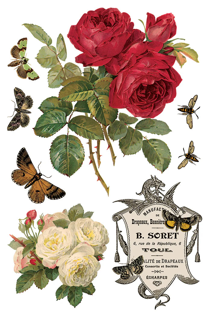 By Any Other Name - 8 Sheet, 8x12 Pad IOD Decor Transfer™ 2026