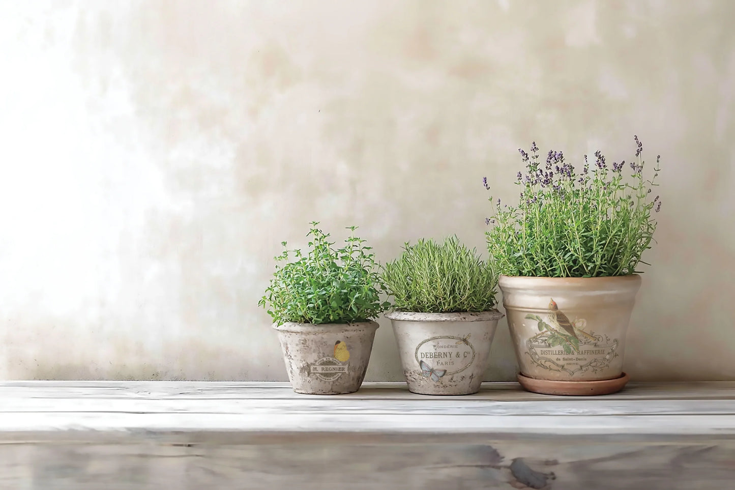 By Any Other Name - 8 Sheet, 8x12 Pad IOD Decor Transfer™ 2026