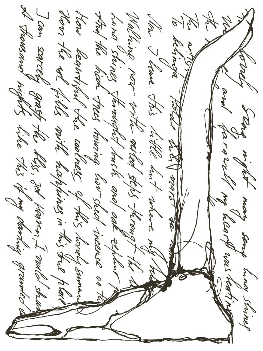 Desperado - 8 Sheet, 12x16 Pad IOD Decor Transfer™ 2022